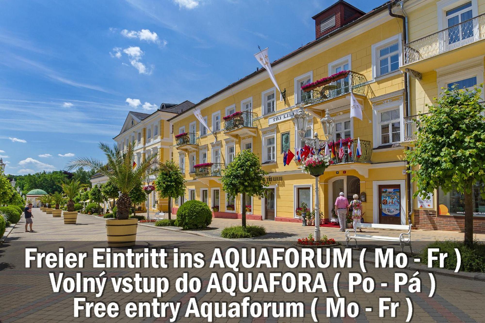 Hotel Three Lilies Inkl Aquaforum Františkovy Lázně Exteriér fotografie